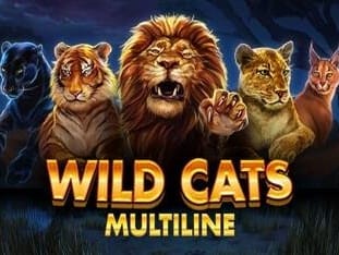 Wild Cats Multiline game icon